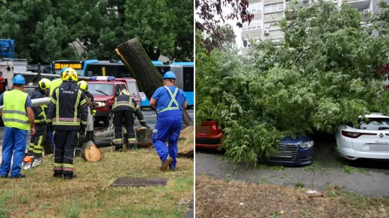 Stabla poklopila automobile, vatrogasci intervenirali i u školi: Pogledajte posljedice udarea oluje